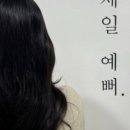 노바디붙임머리 이미지