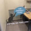 반여착한동물병원 이미지