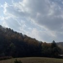 대관령사슴목장 이미지