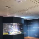 인천광역시 시립박물관 영상실(석남홀) | 인천 비올때 실내 아이랑 가볼만한곳 시립박물관 역사 속으로~