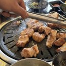 찌개랑뚱돼지랑 이미지