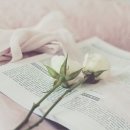 아이야 이미지