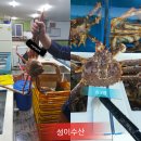 성이수산 이미지