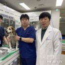 한국임상수의학회