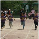 죽백초등학교 이미지