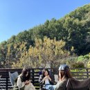 천안소소펜션 이미지