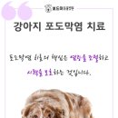 왜관동물병원 이미지