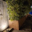 공주보석사우나 이미지