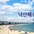 물치항도루묵 이미지