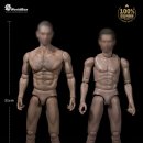 바디박스 이미지