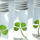 주식회사그린인테리어 이미지