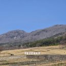 화순목장 이미지