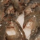 산호대로29길-7 이미지