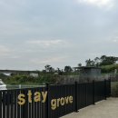 스테이 그로브 이미지