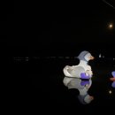 다목적광장 공중화장실 이미지