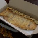 (주)바이오센스크리에티브 이미지