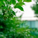 한국공학대학교 - 715 | 한국공학대학교