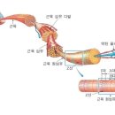 오짐헬스 이미지