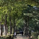 양천근린공원 이미지