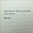 연초고등학교 이미지