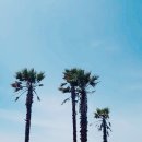 태신해안로 이미지