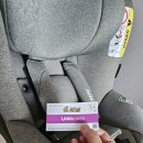 감사세탁 | [유세남]부산 카시트 세탁/부산유모차세탁 내돈내산 만족후기