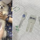 하늘켄넬 이미지