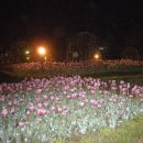 서곶공원 이미지