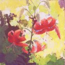 건반 위의 꿈 이미지