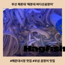 힐링곰장어 | 해운대 현지인 맛집, 꿈틀거리는 산곰장어에 대선 소주 한잔