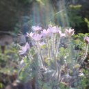 갤러리민박 이미지