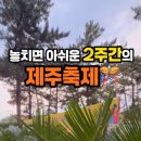 왕왕작작 이미지