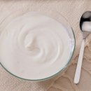 피트니아 이미지