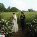 여량중학교 이미지