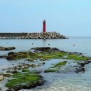 하저해수욕장(도로변) 이미지