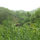 물레방아길 이미지