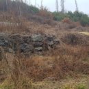 중리농장 이미지