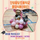 자여초등학교 | 진영 중앙초등학교 졸업식 풍선장식 후기