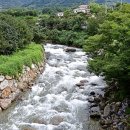 돌풀마루 이미지