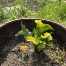 기린농장 이미지