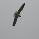 모둘자리 이미지