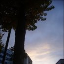 골목길 PC 이미지