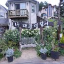 나 대관령왔어 이미지