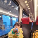 오후엔 | 스위스 가족여행, 오전엔 융프라우 오후엔 멘리헨 까지! 하루 코스 후기