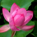 산 아래 이미지