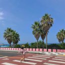 게으른 소나기 민박 | [공지] [세계여행] 여자 혼자 해외 18개국 58도시 방문, 10년 간 나는 어떻게 변했을까?