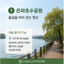 새마음정신건강의학과의원