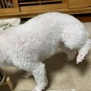 한수동물병원 이미지