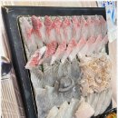 힐링곰장어 이미지