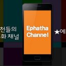 에바다마켓
